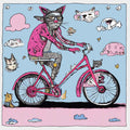 Biking Cat