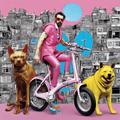 Dogs in balace