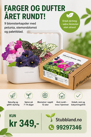 Click and Grow Smart Garden Refill 9-pack Vibrant Flower Mix