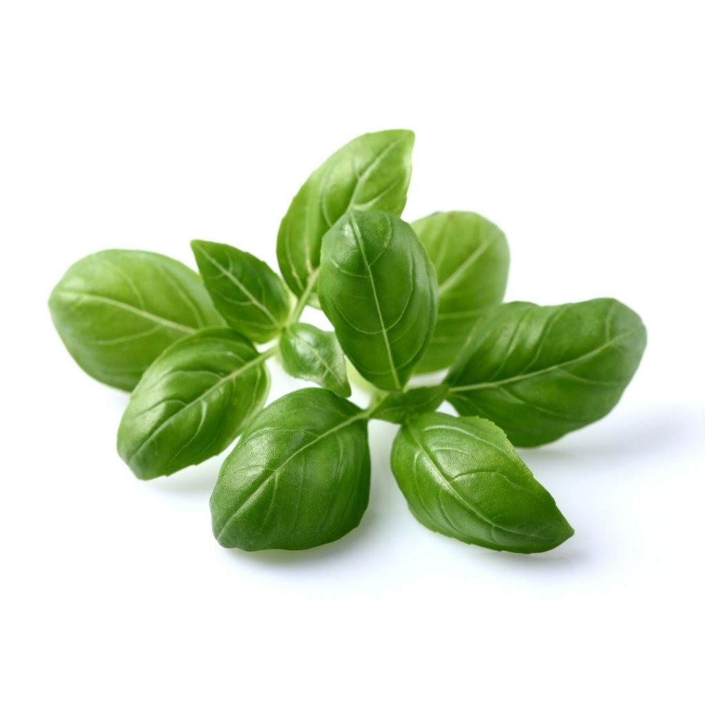 Click & Grow Växtkapslar 3-pack – Basilika