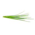 Click & Grow Växtkapslar 3-pack – gräslök